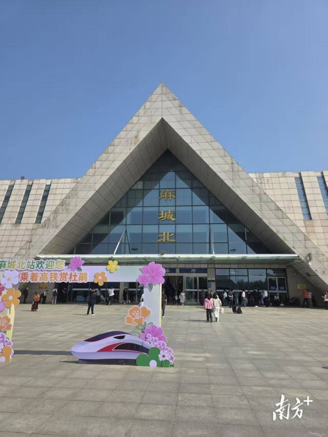 受访者供图 受访者供图